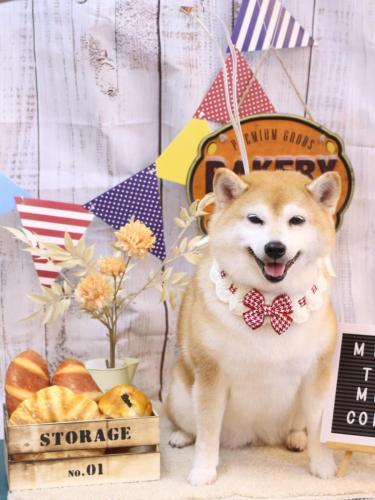 20240901初ちゃん